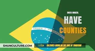 Exploring Brazil's Administrative Divisions: Are There Counties in Brazil?