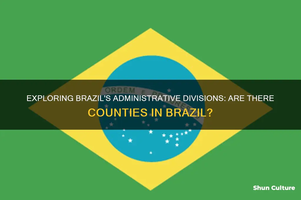 does brazil have counties