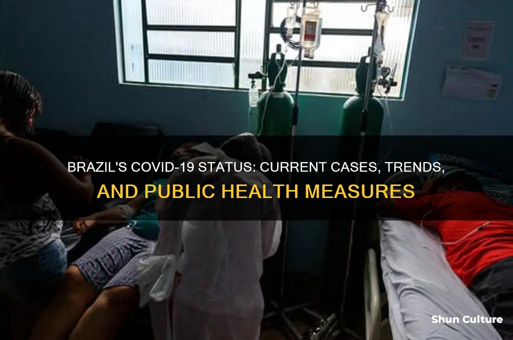 does brazil have covid 19