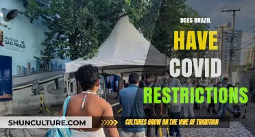 Brazil's COVID-19 Restrictions: Current Rules and Travel Guidelines