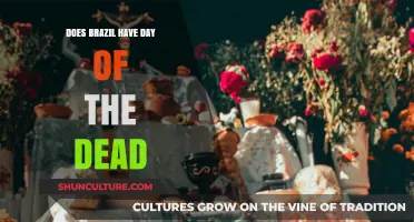 Brazil's Day of the Dead: Celebrating or Something Different?