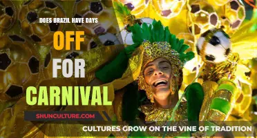 Brazil's Carnival Celebrations: Understanding the Country's Festive Days Off