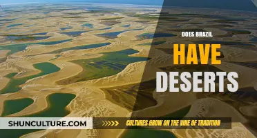 Exploring Brazil's Arid Landscapes: Are There Deserts in the Country?