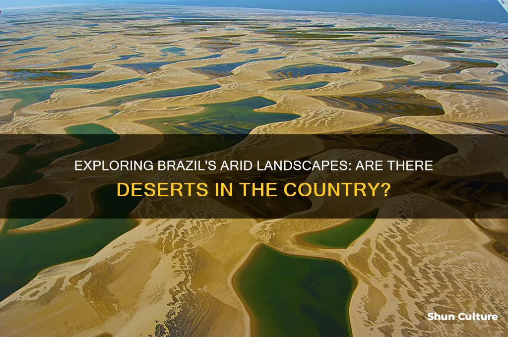 does brazil have deserts