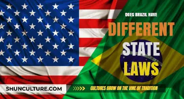 Brazil's Legal Diversity: Exploring State-Specific Laws and Variations