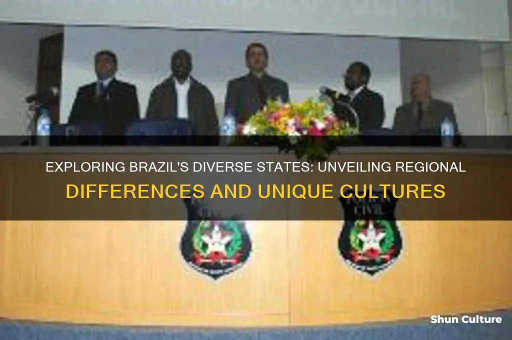 does brazil have different states