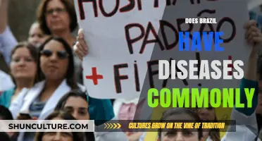 Common Diseases in Brazil: Health Risks and Prevention Tips
