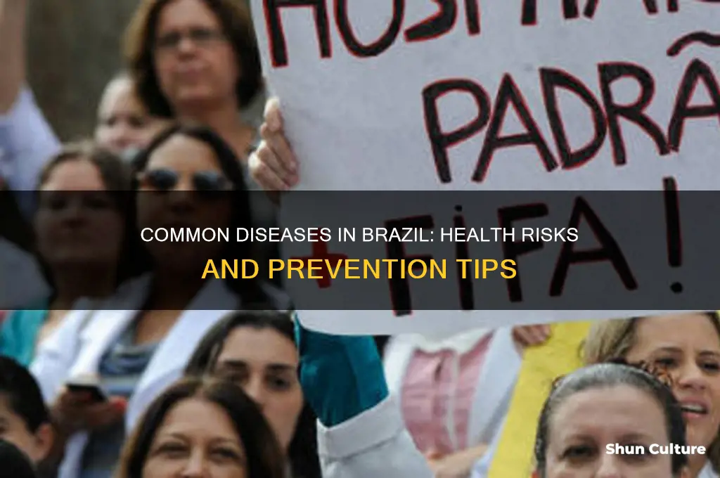 does brazil have diseases commonly