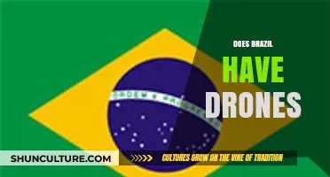 Exploring Brazil's Drone Usage: Military, Civilian, and Regulatory Insights