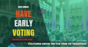 Does Brazil Offer Early Voting? Exploring Election Day Flexibility