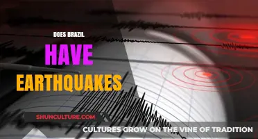 Does Brazil Experience Earthquakes? Exploring Seismic Activity in South America