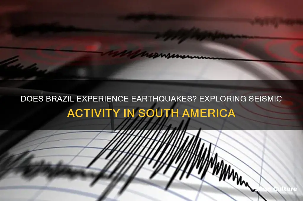 does brazil have earthquakes
