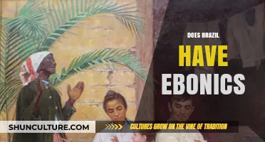 Exploring Brazil's Afro-Brazilian Vernacular: Does Ebonics Exist in Portuguese?