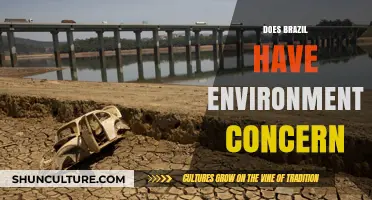Brazil's Environmental Crisis: Challenges, Conservation Efforts, and Global Impact