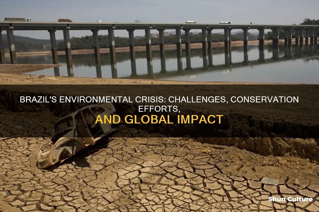 does brazil have environmental concern