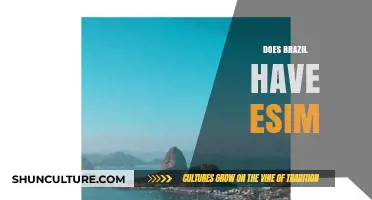 Does Brazil Support eSIM? A Comprehensive Guide for Travelers