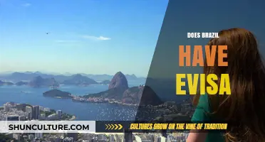 Does Brazil Offer eVisa? A Comprehensive Guide for Travelers