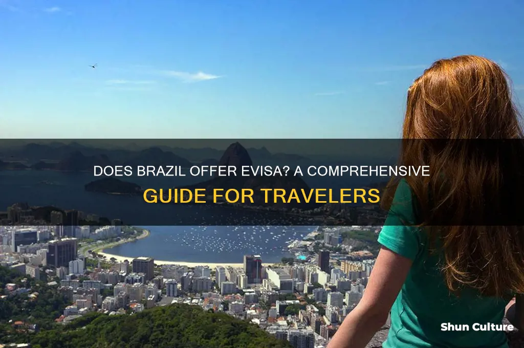does brazil have evisa