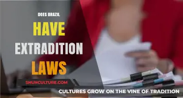 Brazil's Extradition Laws: Understanding International Legal Cooperation