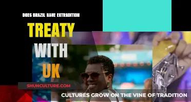 Brazil-UK Extradition Treaty: Legal Framework and Implications Explained