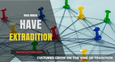 Does Brazil Extradite? Understanding Brazil's Extradition Laws and Policies
