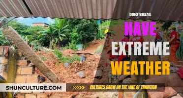 Brazil's Climate Extremes: Unraveling Weather Patterns and Their Impacts