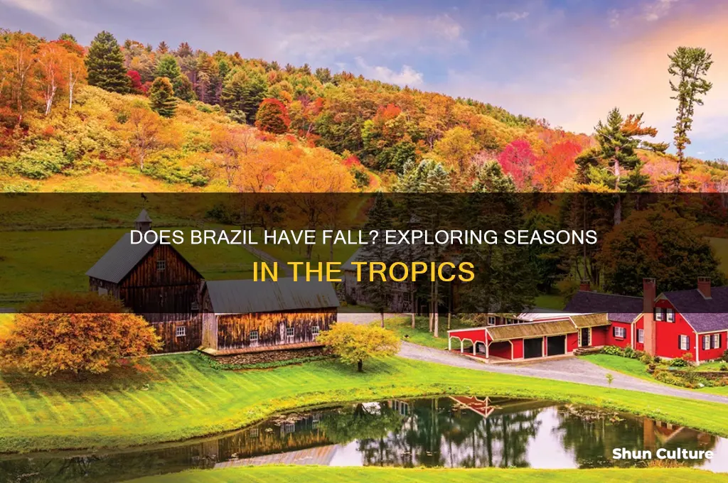 does brazil have fall