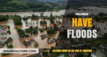 Brazil's Flood Risks: Causes, Impacts, and Prevention Strategies
