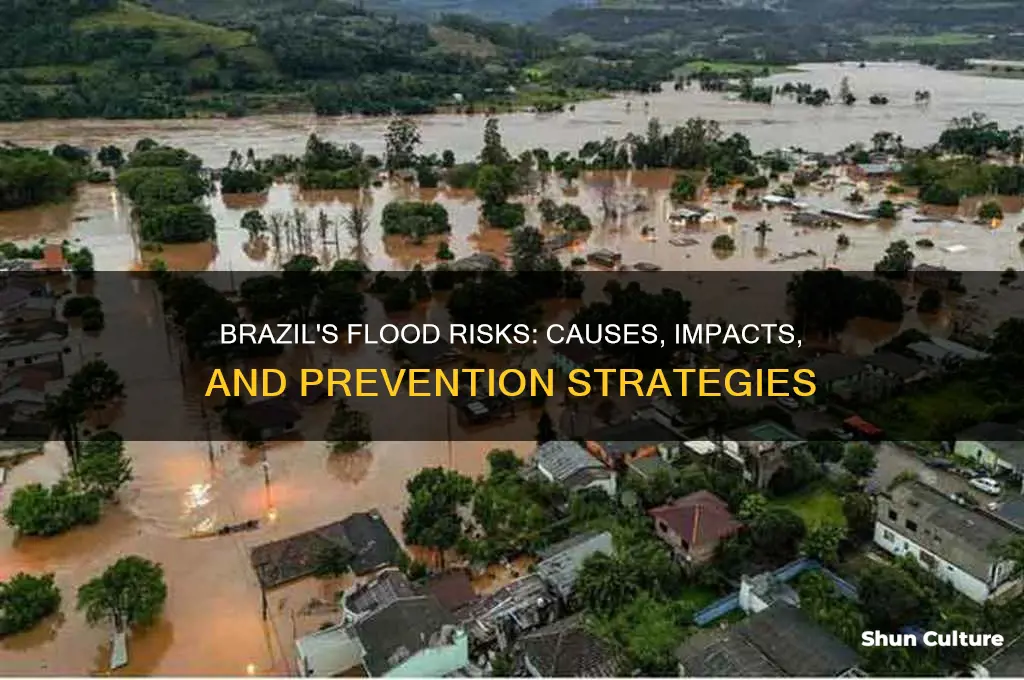 does brazil have floods