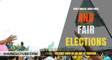 Brazil's Democracy: Are Its Elections Truly Free and Fair?