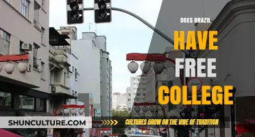 Is College in Brazil Free? Exploring Higher Education Costs and Access