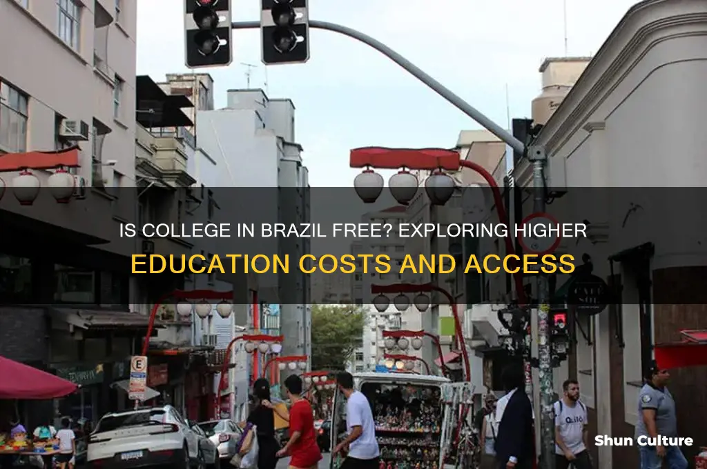does brazil have free college