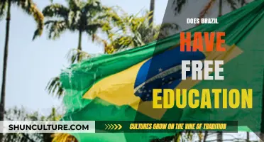 Exploring Brazil's Education System: Is It Truly Free for All?