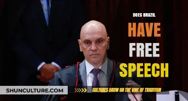 Does Brazil Truly Uphold Free Speech? Exploring Rights and Restrictions
