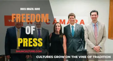 Brazil's Press Freedom: Reality, Challenges, and Media Independence Explored