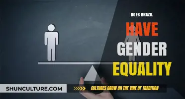 Brazil's Gender Equality: Progress, Challenges, and the Road Ahead