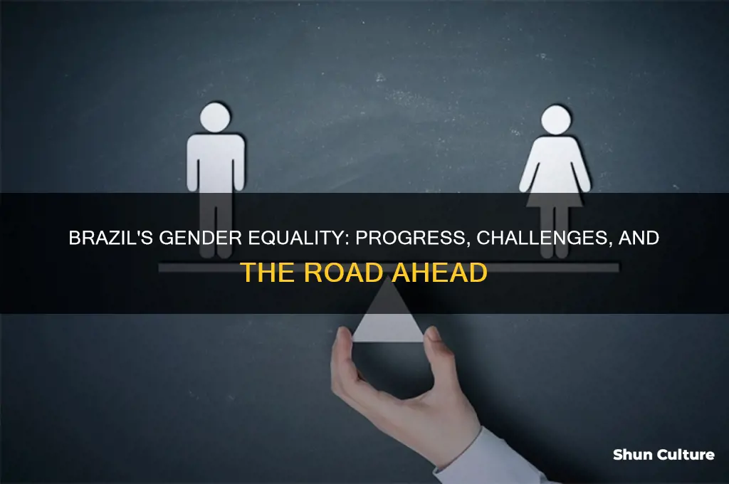 does brazil have gender equality