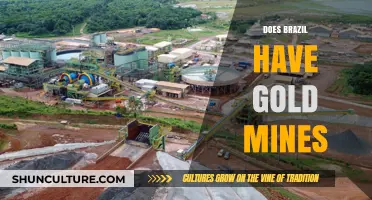 Exploring Brazil's Gold Mines: History, Locations, and Economic Impact