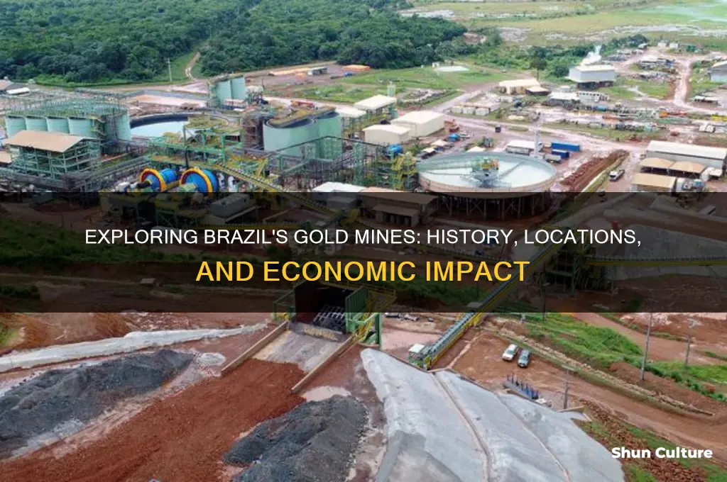 does brazil have gold mines