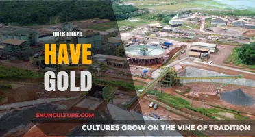 Brazil's Golden Legacy: Uncovering the Country's Rich Gold Reserves
