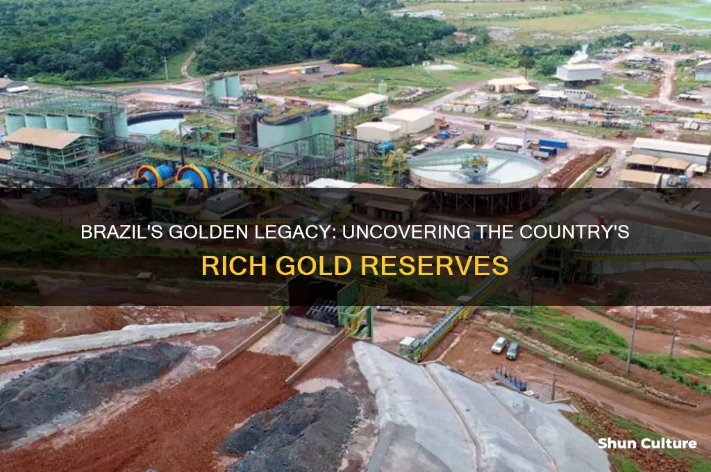does brazil have gold
