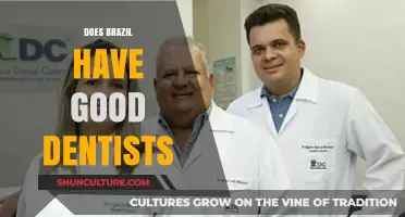 Exploring Brazil's Dental Care: Are Brazilian Dentists Truly World-Class?