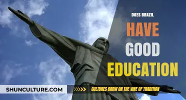 Exploring Brazil's Education System: Quality, Challenges, and Opportunities
