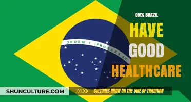 Exploring Brazil's Healthcare System: Quality, Accessibility, and Challenges