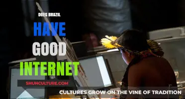Exploring Brazil's Internet Quality: Speed, Accessibility, and Reliability Revealed