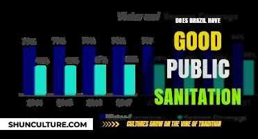 Brazil's Public Sanitation: Assessing Infrastructure, Challenges, and Community Impact
