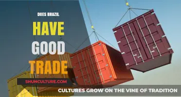 Exploring Brazil's Trade Strengths: Opportunities, Challenges, and Global Impact