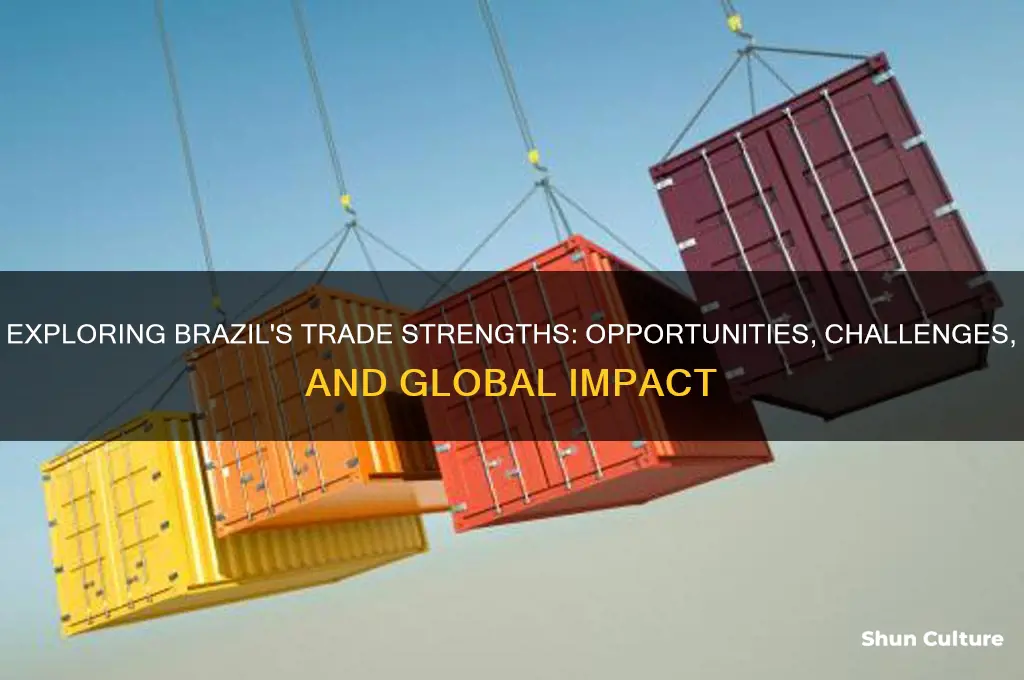 does brazil have good trade