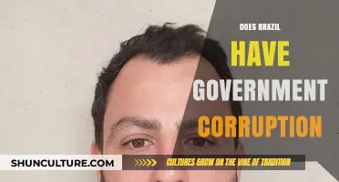 Brazil's Government Corruption: Unveiling the Truth and Its Impact