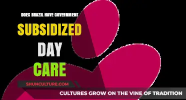 Brazil's Government Subsidized Day Care: Availability, Access, and Impact
